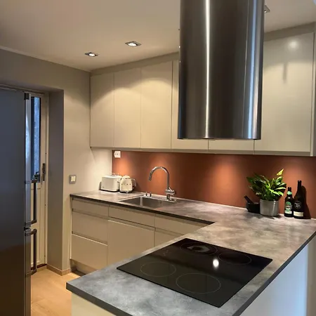 Appartement Stylish 2br With Patio And Smart Tv - 10 Min To Bryggen
