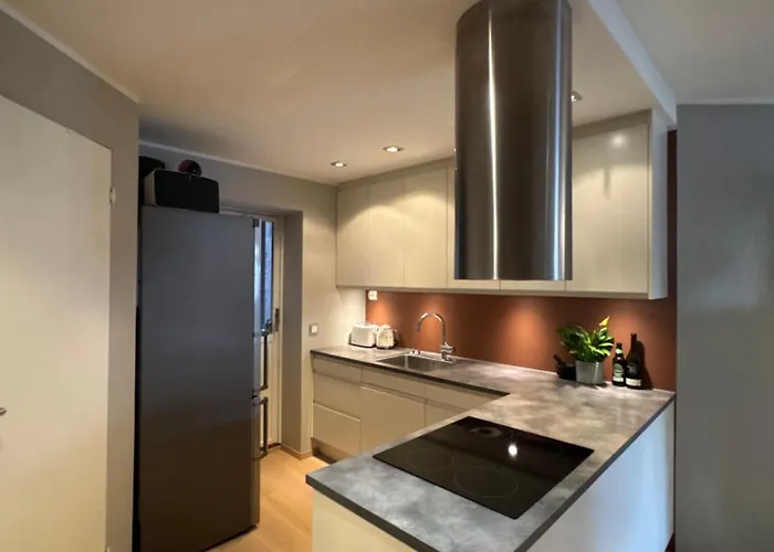 Stylish 2br With Patio And Smart Tv - 10 Min To Bryggen Daire *